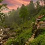 North Bengal Homestay