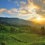 North Bengal Homestays