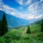 dawaipani homestay