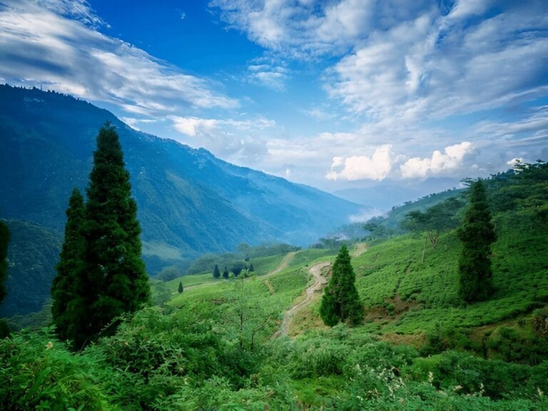 dawaipani homestay