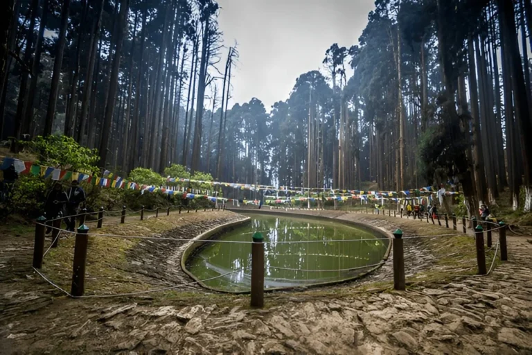 Eco-Village Near Darjeeling