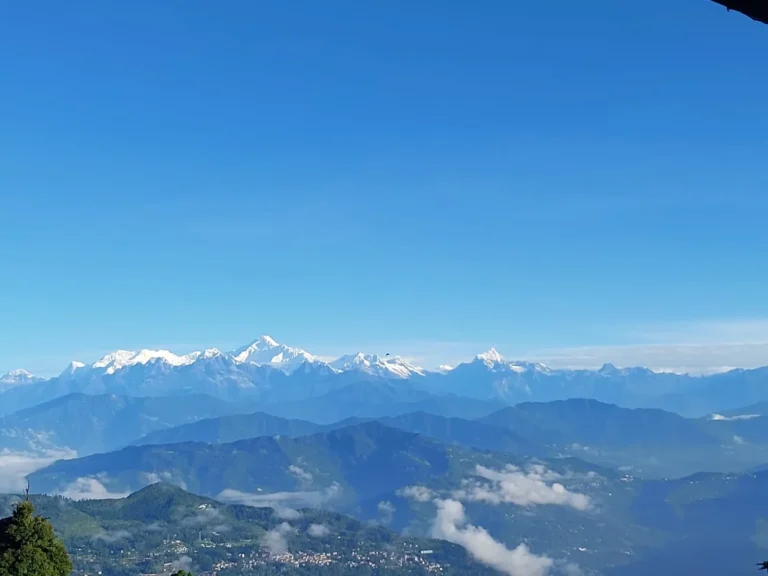 Holly Hocks Cottage Rishop