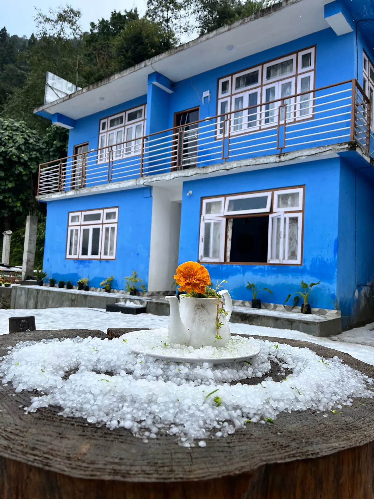 The Blue Heaven Pelling Homestay
